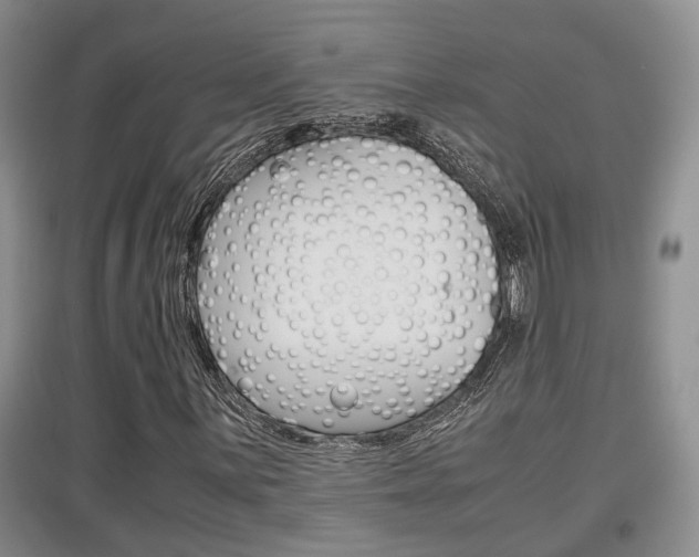 X0000097901059200803141001