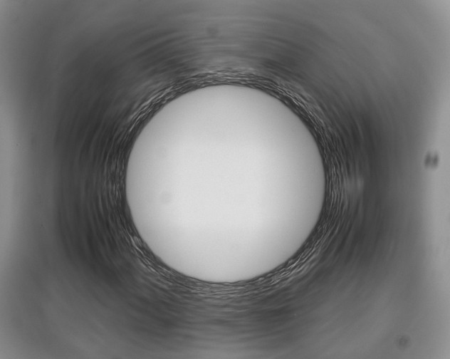 X0000097901060200803141001