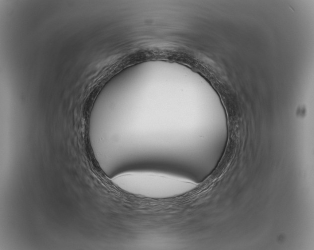 X0000097901061200803141001