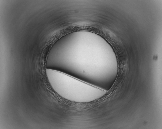 X0000097901062200803141001