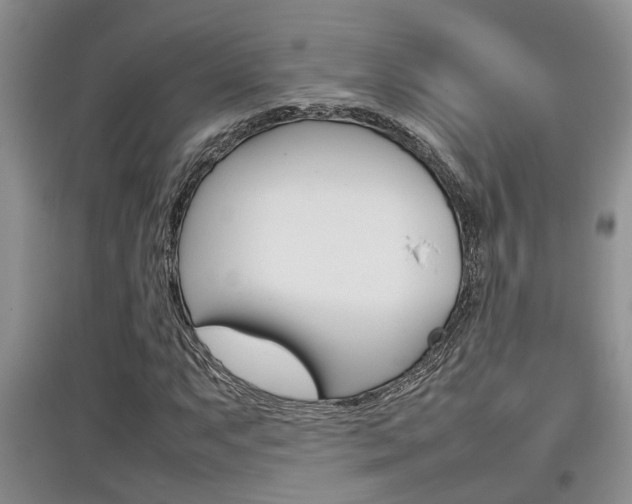 X0000097901063200803141001