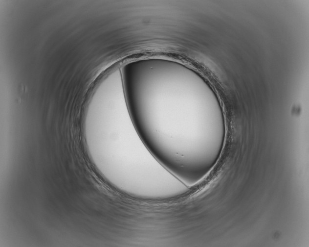 X0000097901065200803141001