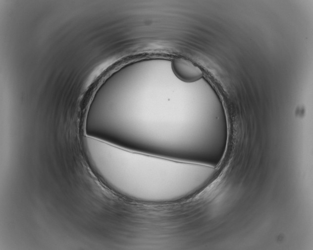 X0000097901066200803141001