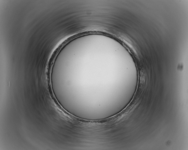 X0000097901068200803141001