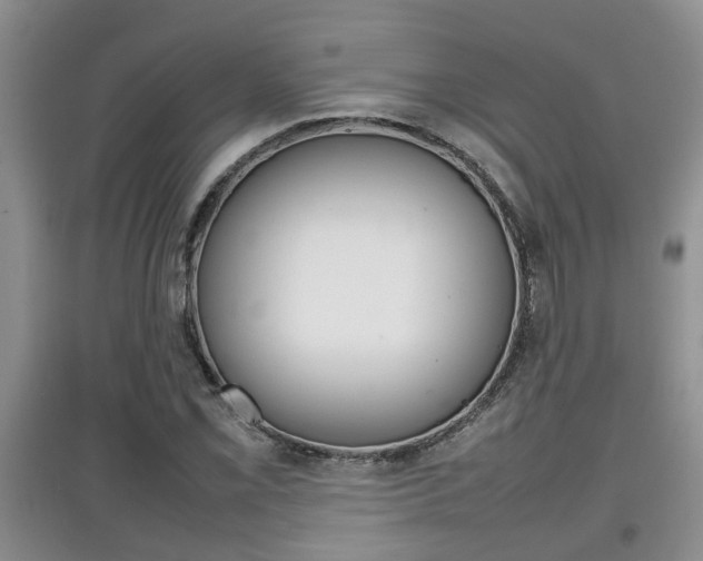 X0000097901069200803141001