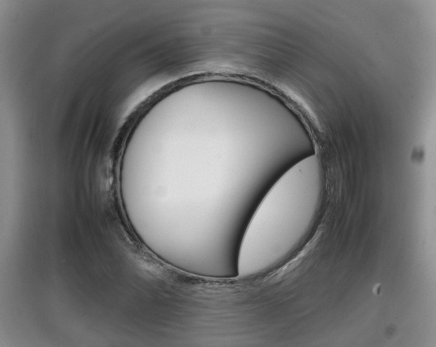 X0000097901070200803141001