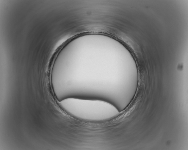 X0000097901071200803141001