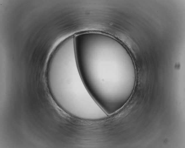 X0000097901072200803141001