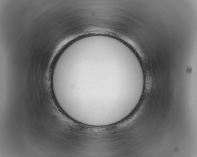 X0000097901074200803141001