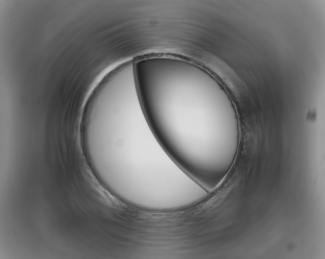 X0000097901076200803141001