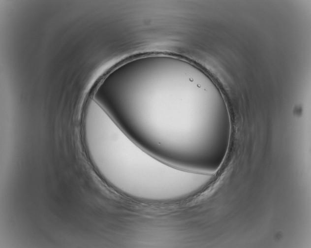 X0000097901077200803141001
