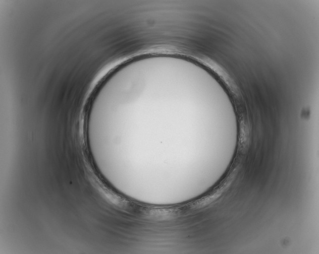X0000097901078200803141001
