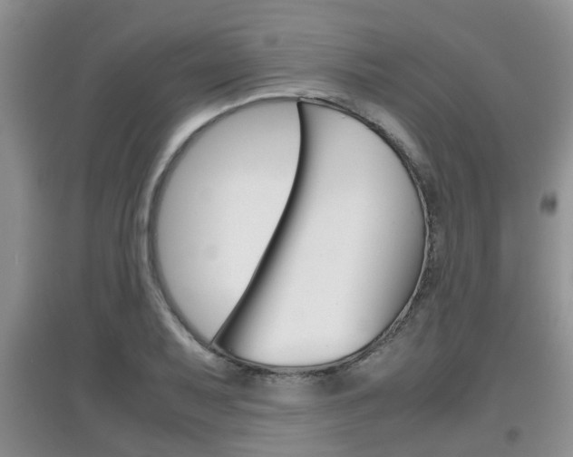 X0000097901079200803141001