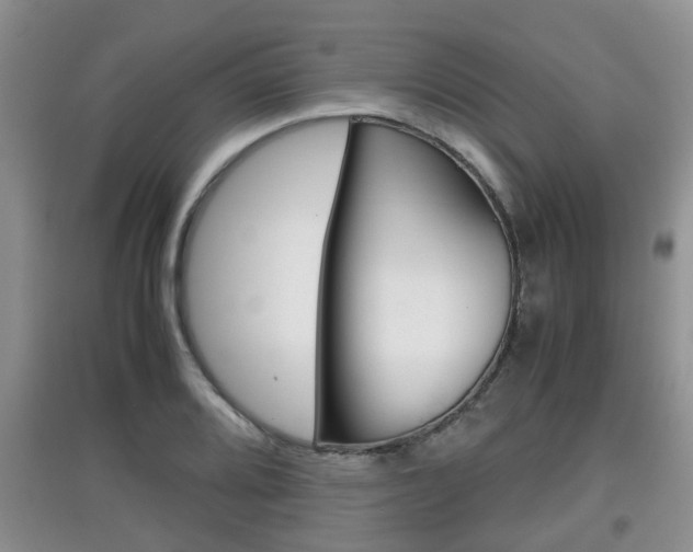 X0000097901080200803141001
