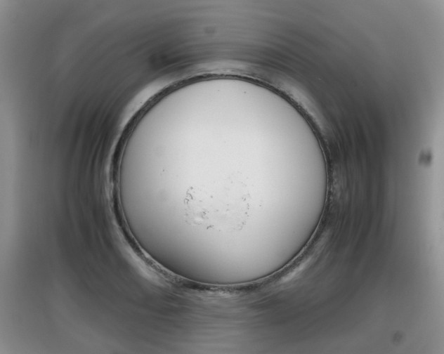 X0000097901082200803141001