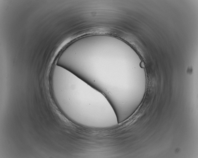 X0000097901083200803141001