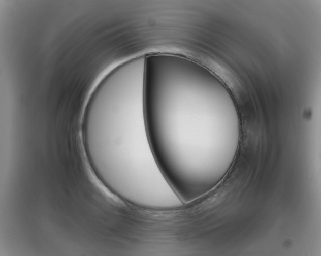 X0000097901084200803141001