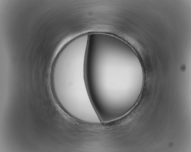 X0000097901085200803141001