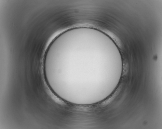 X0000097901086200803141001