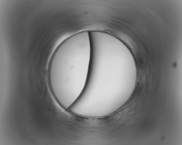 X0000097901087200803141001