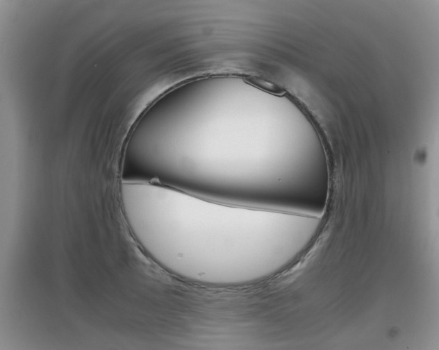 X0000097901089200803141001