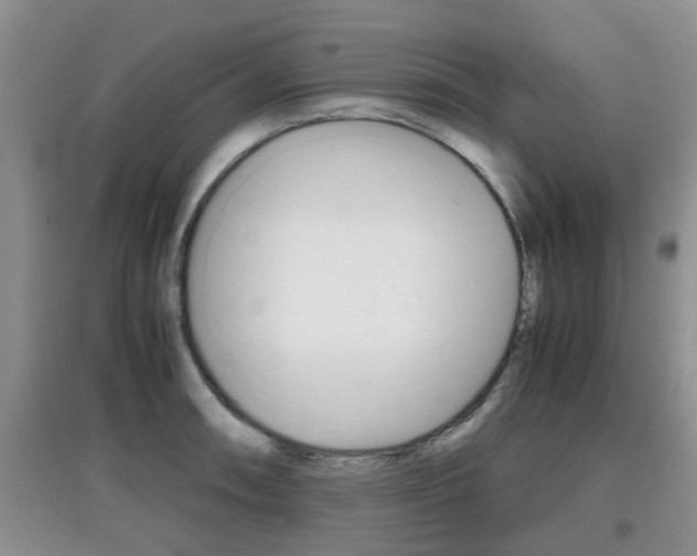 X0000097901090200803141001