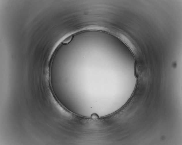 X0000097901092200803141001