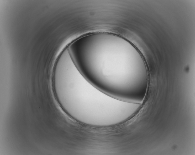 X0000097901093200803141001