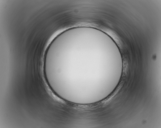 X0000097901094200803141001
