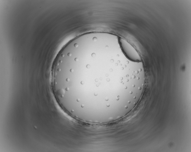 X0000097901095200803141001