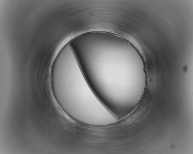 X0000097901096200803141001