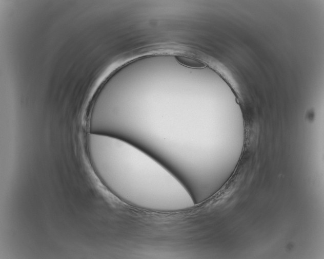 X0000097901099200803141001