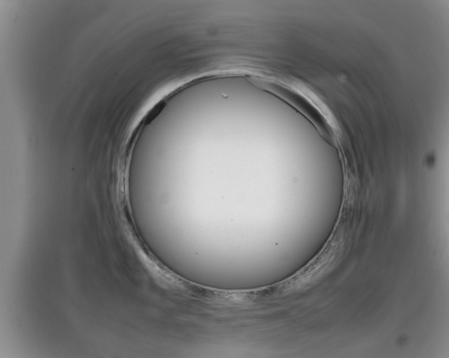 X0000097901101200803141001