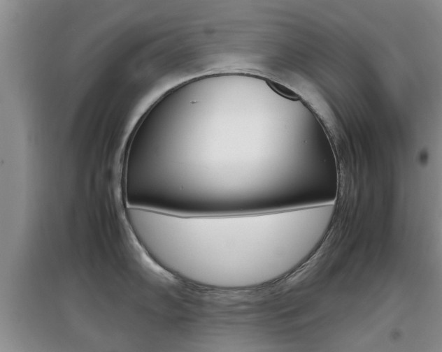 X0000097901102200803141001