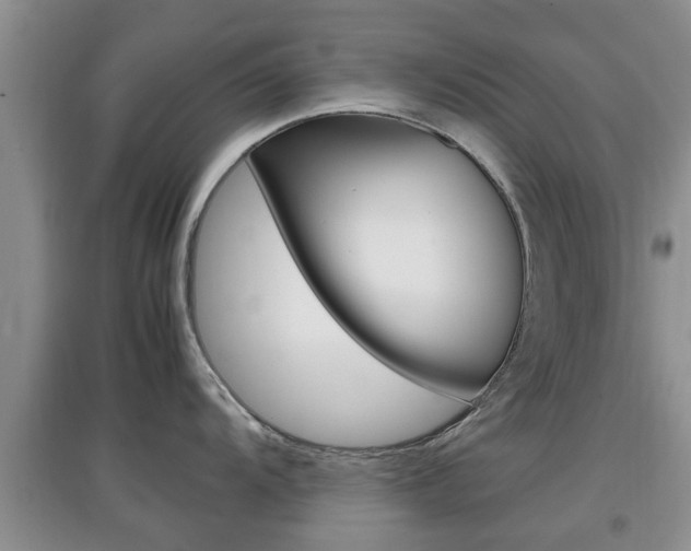 X0000097901104200803141001