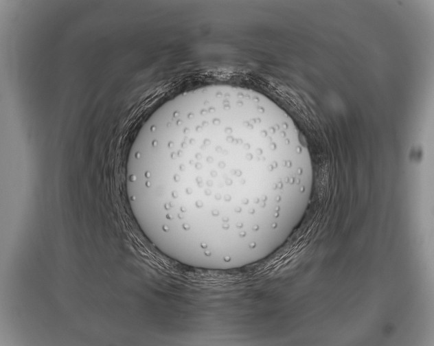 X0000097901105200803141000