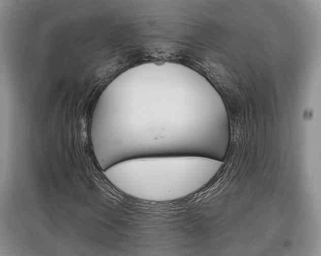 X0000097901106200803141000
