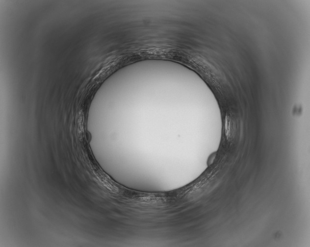 X0000097901107200803141000