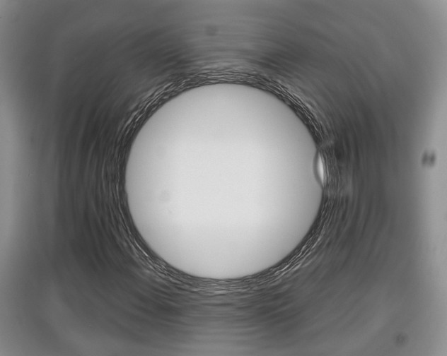 X0000097901108200803141000