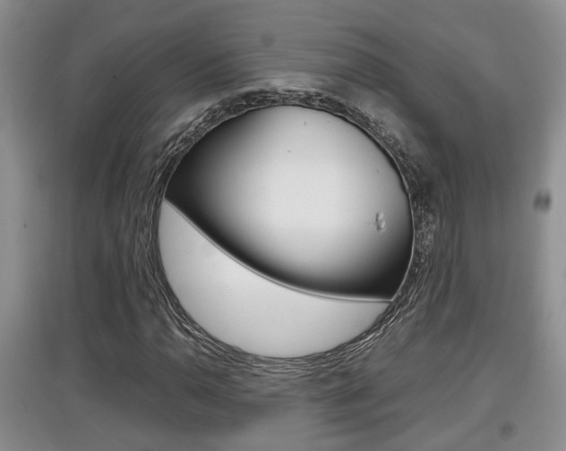 X0000097901110200803141000