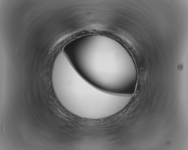 X0000097901112200803141000