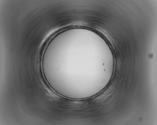 X0000097901115200803141000