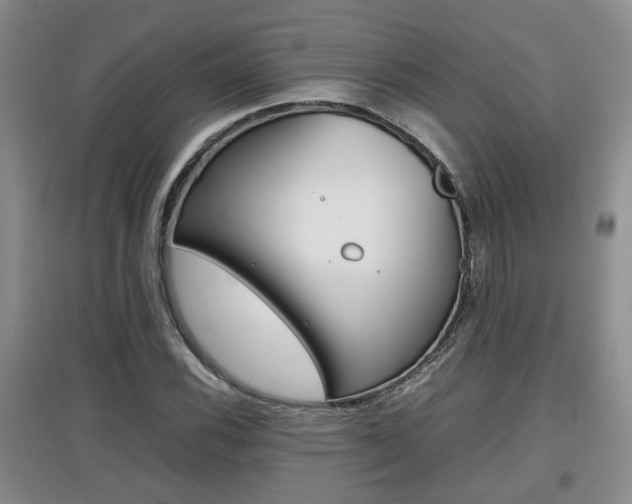 X0000097901116200803141000