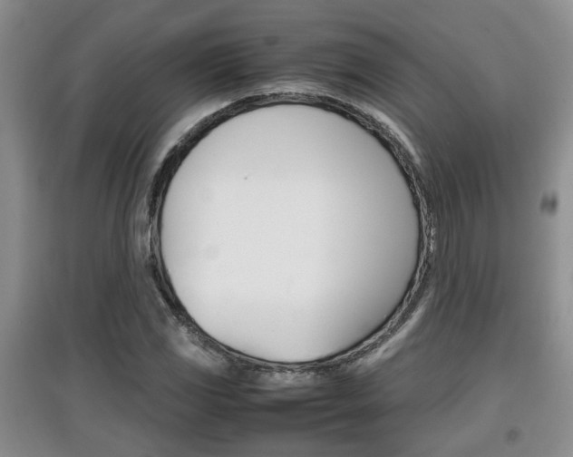 X0000097901117200803141000