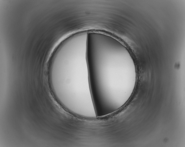 X0000097901118200803141000
