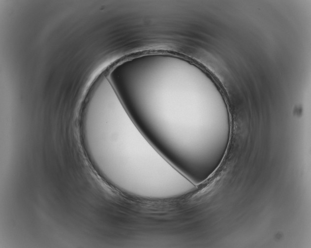 X0000097901119200803141000