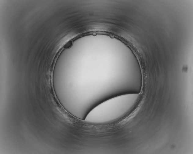 X0000097901121200803141000