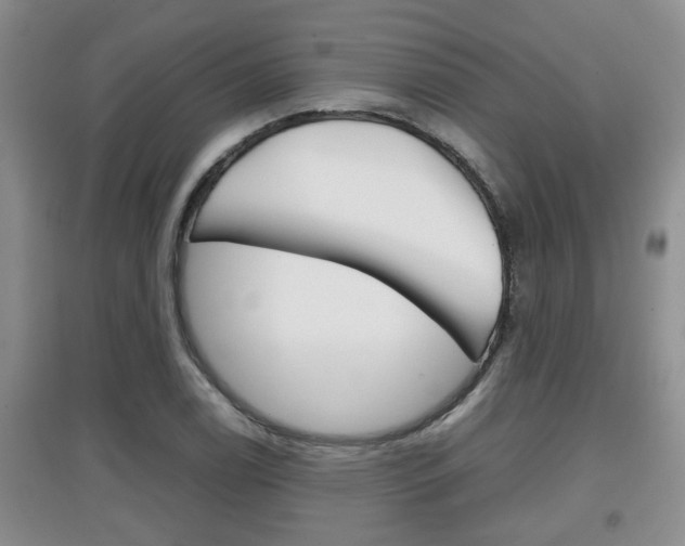 X0000097901122200803141000