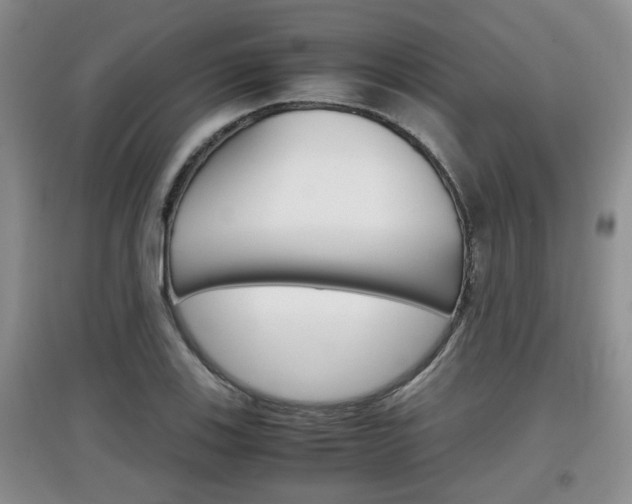 X0000097901123200803141000