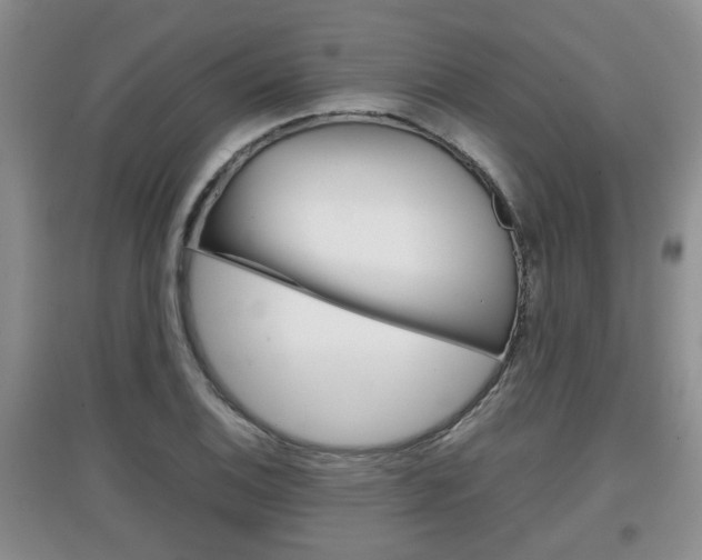 X0000097901124200803141000